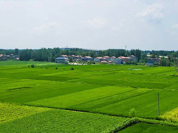 台北水溶肥