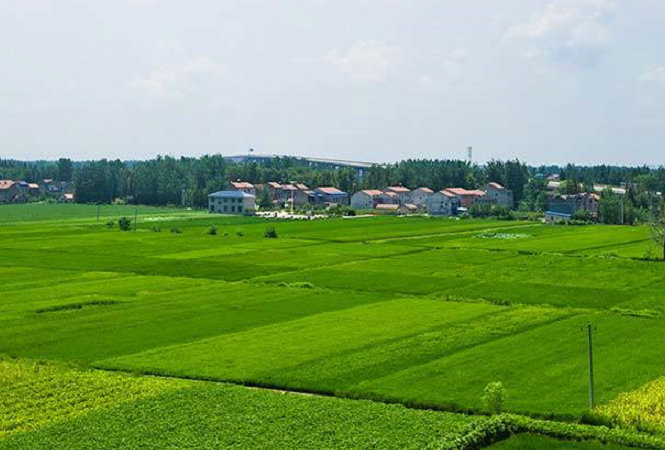 临海水溶肥