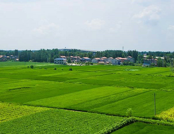 台州水溶肥