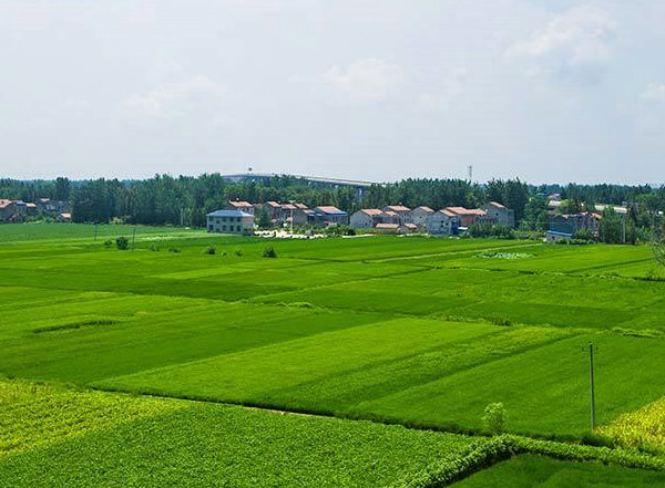 浙江叶面肥