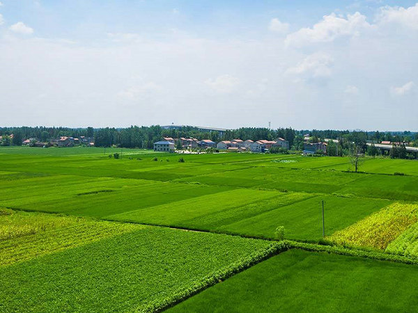 历城水溶肥