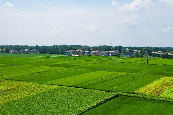 淄川叶面肥