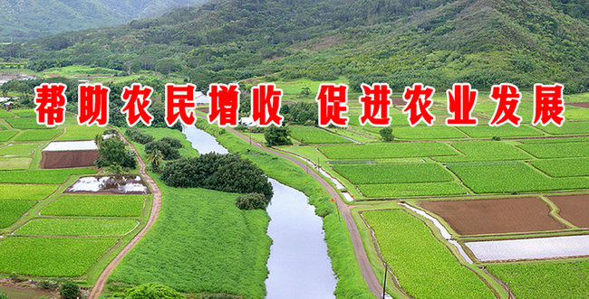 手机站banner【640*350】